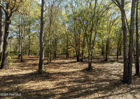 167 River Ridge Drive Wallace NC 28466