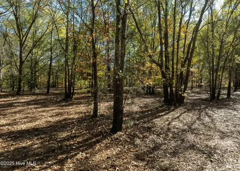 167 River Ridge Drive Wallace NC 28466