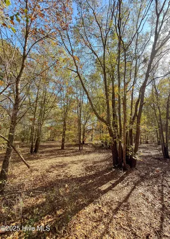167 River Ridge Drive Wallace NC 28466