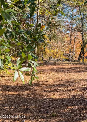 167 River Ridge Drive Wallace NC 28466