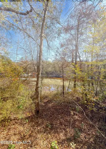167 River Ridge Drive Wallace NC 28466