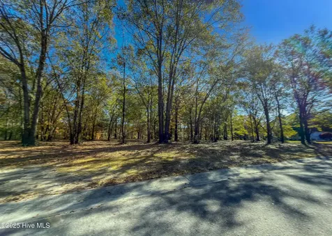 167 River Ridge Drive Wallace NC 28466