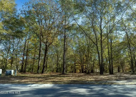 167 River Ridge Drive Wallace NC 28466