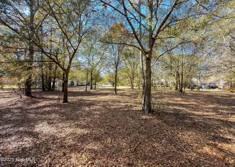 167 River Ridge Drive Wallace NC 28466