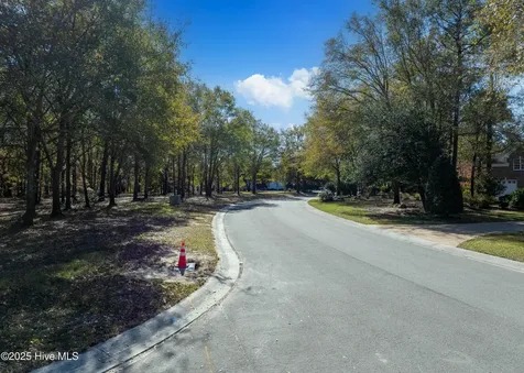 167 River Ridge Drive Wallace NC 28466