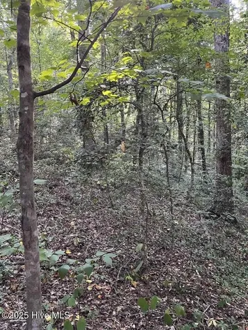 Tbd Country Canyon Drive Cordova NC 28330