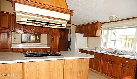 149 Jeff Murphy Lane Magnolia NC 28453