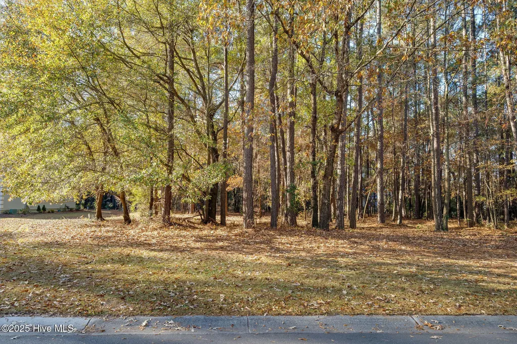 266 Red Fox Run Drive Wallace NC 28466