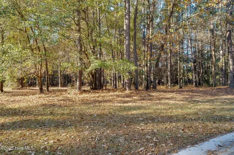 266 Red Fox Run Drive Wallace NC 28466