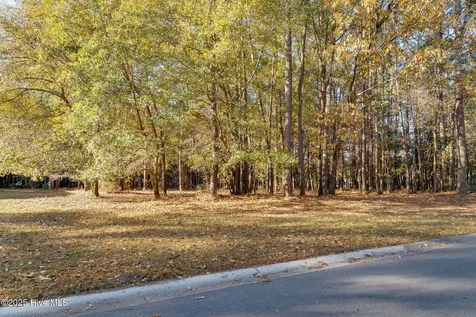 266 Red Fox Run Drive Wallace NC 28466