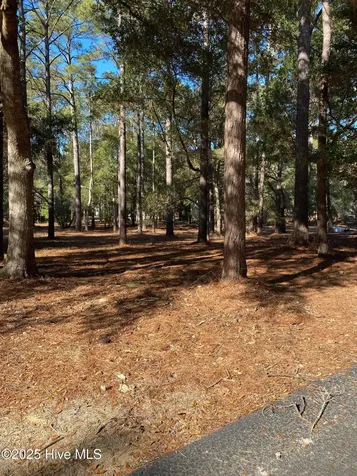 670 Cypress Grove Court SE Bolivia NC 28422