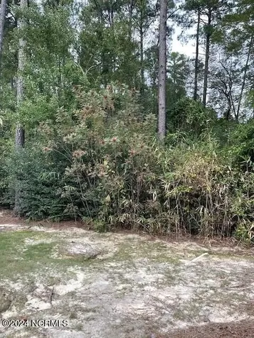 5 Raintree Court Pinehurst NC 28374