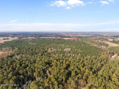 1449 Pameter Road Hallsboro NC 28442