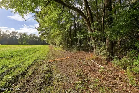 2 515 Porter Swamp Road Cerro Gordo NC 28430