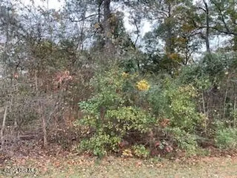131 Powhatan Trail Edenton NC 27932