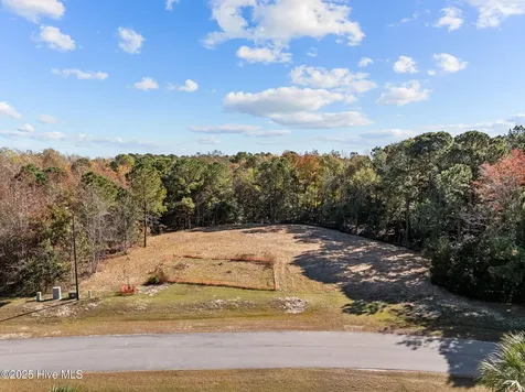 132 Royal Palms Way Holly Ridge NC 28445