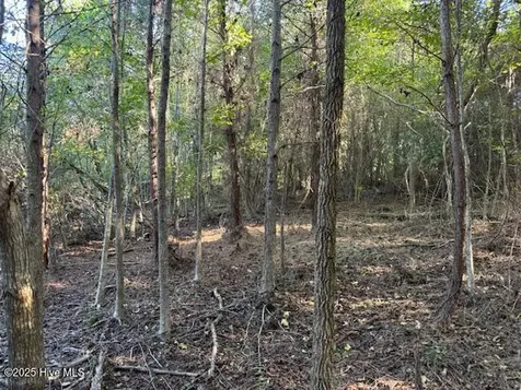 0 Knight Way SE Winnabow NC 28479