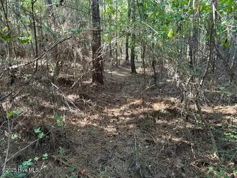 0 Knight Way SE Winnabow NC 28479