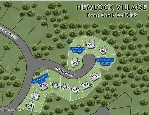 12 Hemlock Court Pinehurst NC 28374