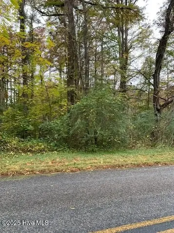 Tbd Swains Mill Road Harrellsville NC 27942