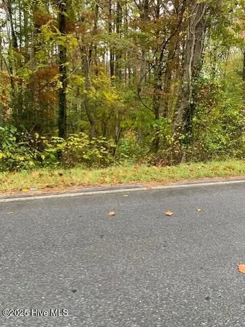 Tbd Swains Mill Road Harrellsville NC 27942