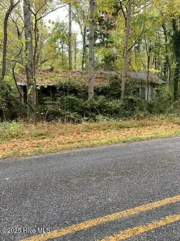 Tbd Swains Mill Road Harrellsville NC 27942
