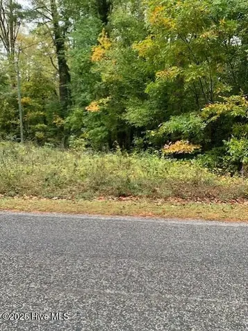 Tbd Swains Mill Road Harrellsville NC 27942