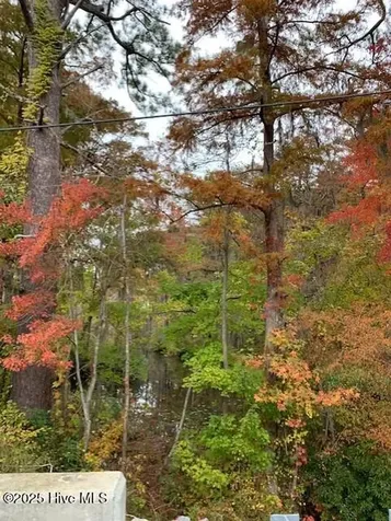 Tbd Swains Mill Road Harrellsville NC 27942