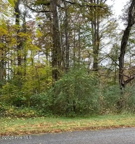 Tbd Swains Mill Road Harrellsville NC 27942