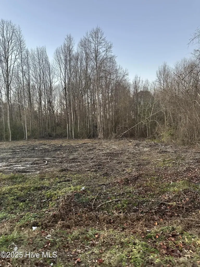 9585 Shallow Creek Trail Bailey NC 27807