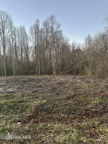 9585 Shallow Creek Trail Bailey NC 27807