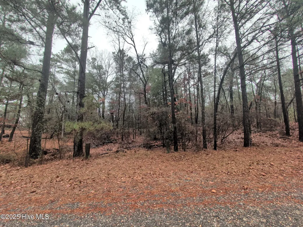 1211 Laurel Circle Vass NC 28394