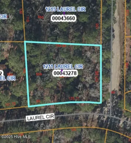 1211 Laurel Circle Vass NC 28394