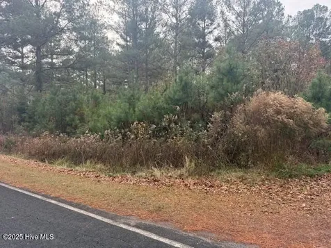 0 Wooded Acres Road Lake Waccamaw NC 28450