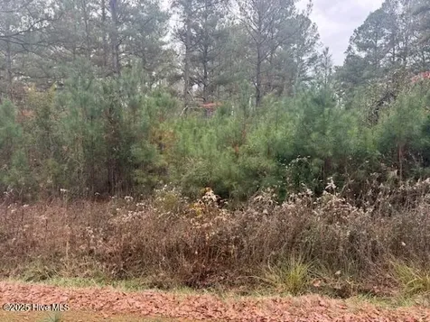 0 Wooded Acres Road Lake Waccamaw NC 28450