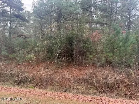 0 Wooded Acres Road Lake Waccamaw NC 28450