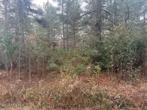 0 Wooded Acres Road Lake Waccamaw NC 28450