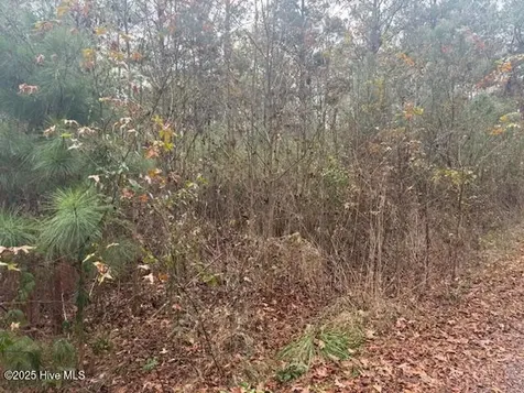 0 Wooded Acres Road Lake Waccamaw NC 28450
