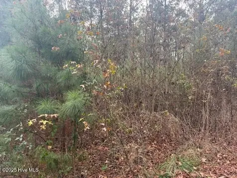 0 Wooded Acres Road Lake Waccamaw NC 28450