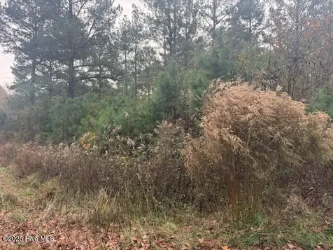 0 Wooded Acres Road Lake Waccamaw NC 28450