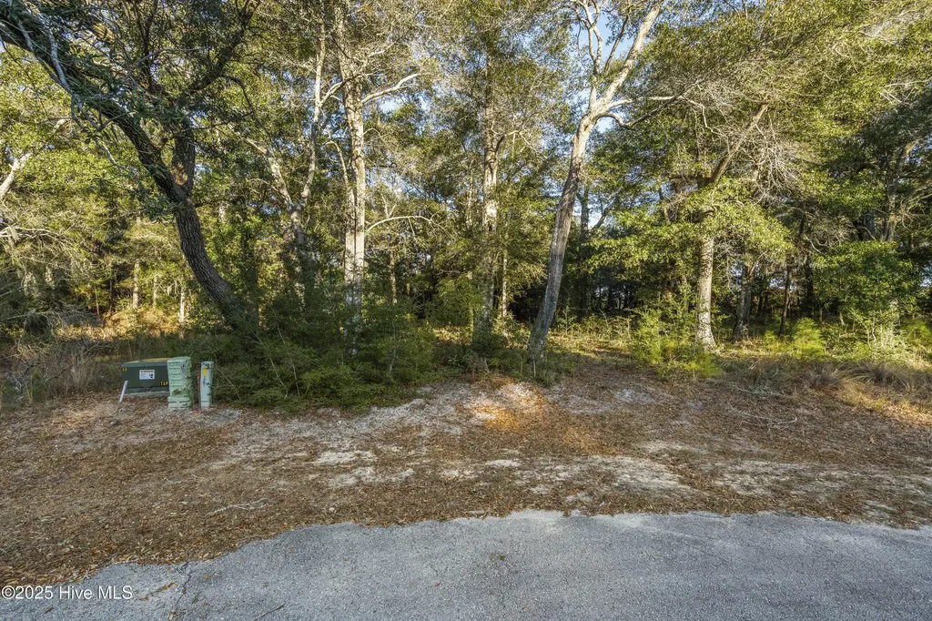 3335 Stone Crab Court SW Supply NC 28462