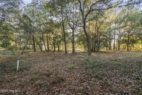 3335 Stone Crab Court SW Supply NC 28462