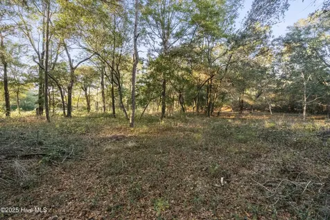 3335 Stone Crab Court SW Supply NC 28462