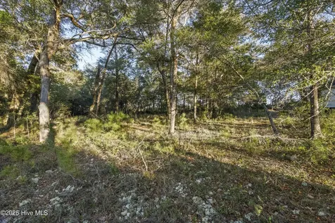 3335 Stone Crab Court SW Supply NC 28462