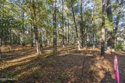 3307 Portside Drive SW Supply NC 28462