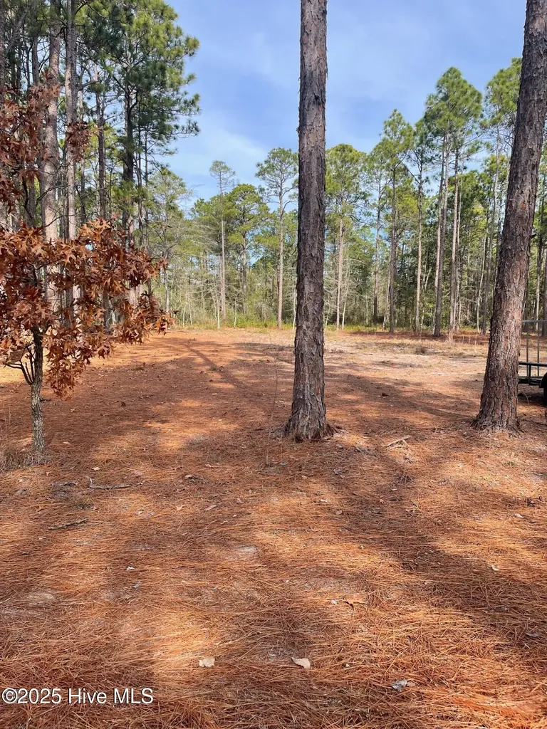130 Bay Ridge Road Harrells NC 28444