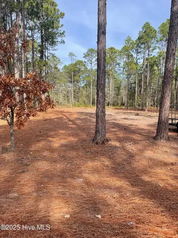 130 Bay Ridge Road Harrells NC 28444