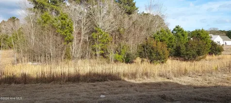 118 Cripple Creek Drive Swansboro NC 28584