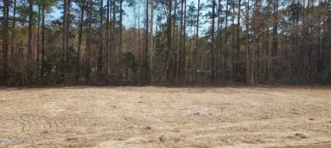 110 Rolling Water Lane Swansboro NC 28584