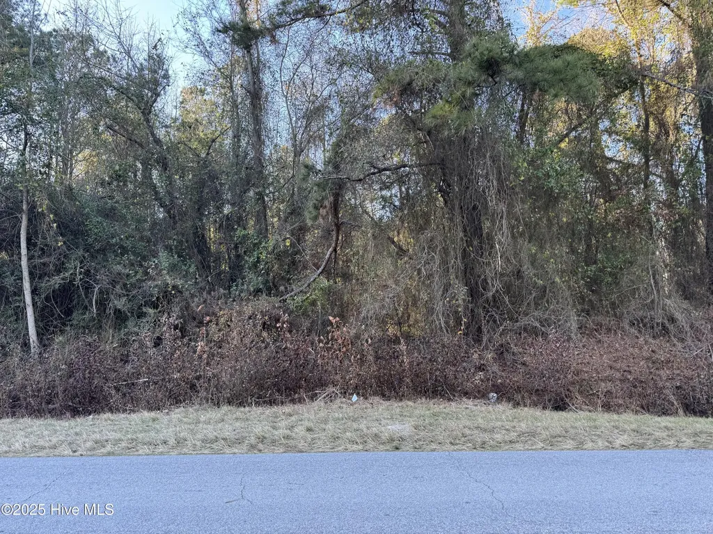 00 New Hope Church Road Turkey NC 28393